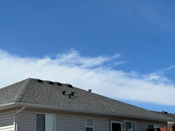 Best Flat Roofing  in Orono, MN